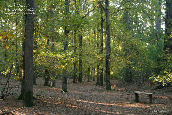 La Gerche trail