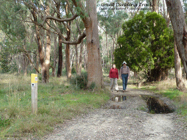 Walking 002 RDT - Great Dividing Trail