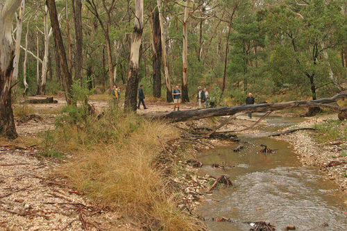 Slaty Creek Picnic Area No 2