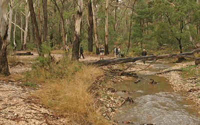 Creswick Regional Park