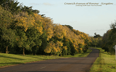 Avenue of Honour