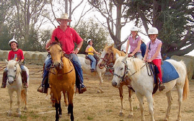 Horse Trail Rides